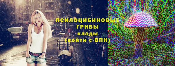стаф Алзамай