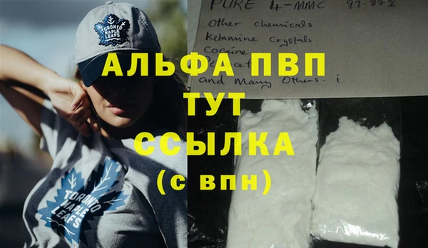 СК Саяногорск