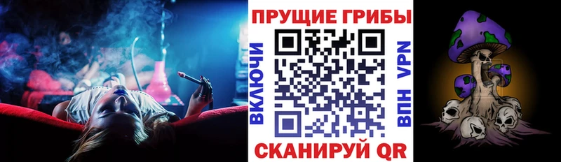OMG ONION  Емва  Галлюциногенные грибы Psilocybe 